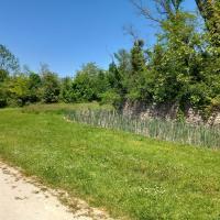 Montagne_Chelles_CAPVM©Arp-Astrance_2023 (13).jpg