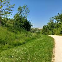 Montagne_Chelles_CAPVM©Arp-Astrance_2023 (14).jpg