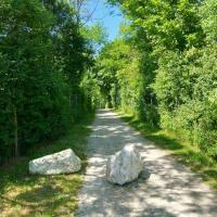 Montagne_Chelles_CAPVM©Arp-Astrance_2023 (4).jpg