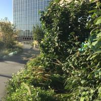 Oxygen_ParisLaDefense©Arp-Astrance_2022 (2).JPG