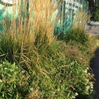 Oxygen_ParisLaDefense©Arp-Astrance_2022 (5).JPG