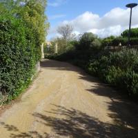 PARC DE LA JARRE MARSEILLE @BRASSICA_2024 (4).JPG