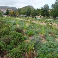 PARC DE LA JARRE MARSEILLE @BRASSICA_2024 (6).JPG