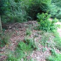 PARC DE LA TETE D&amp;#039;OR NORD LYON @BRASSICA_2024 (10).JPG