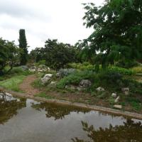 PARC DE LA TETE D&amp;#039;OR NORD LYON @BRASSICA_2024 (12).JPG