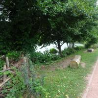 PARC DE LA TETE D&amp;#039;OR NORD LYON @BRASSICA_2024 (6).JPG