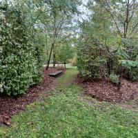 Parc_Akenes_Asl_Loresvert©Oreade-breche_2023 (2).jpg