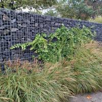 Parc_Akenes_Asl_Loresvert©Oreade-breche_2023 (3).jpg