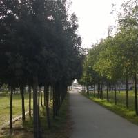 Parc_Angeliques-Bordeaux%C2%A9Oreade-Breche_2016%20%2818%29.jpg