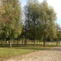 Parc_Angeliques-Bordeaux%C2%A9Oreade-Breche_2016%20%2832%29.jpg
