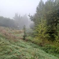 Parc_Ausone_Bordeaux-Metro©HederaVilleDurable_2023 (1).jpg