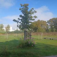 Parc_Ausone_Bordeaux-Metro©HederaVilleDurable_2023 (16).jpg