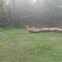 Parc_Ausone_Bordeaux-Metro©HederaVilleDurable_2023 (7).jpg