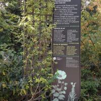 Parc_Bagatelle_Paris©Arp-Astrance_2016 (29).JPG