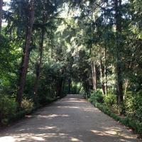 Parc_Bagatelle_Paris©Arp-Astrance_2016 (3).JPG