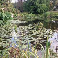 Parc_Bagatelle_Paris©Arp-Astrance_2016 (76).JPG