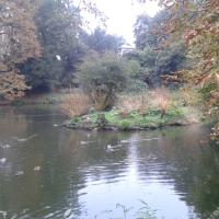 Parc_Balbi-Versailles©Gondwana_2016 (12).jpg