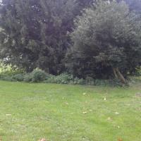 Parc_Balbi-Versailles©Gondwana_2016 (25).jpg