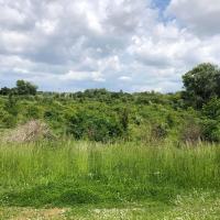Parc_Brassens_Massy©Arp-Astrance_2021.jpg