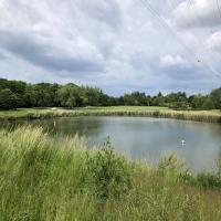 Parc_Brassens_Massy©Arp-Astrance_2021_02.jpg