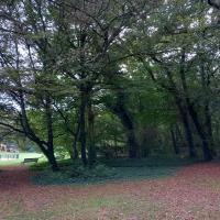 Parc_Brequigny_Rennes©Arp-Astrance_2023 (1).jpg