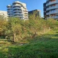 Parc_Buhler_Bordeaux-Metropole©HederaVilleDurable_2023 (28).jpg