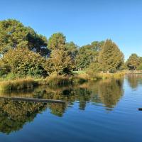 Parc_Buhler_Bordeaux-Metropole©HederaVilleDurable_2023 (30).jpg