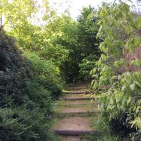 Parc_Caillebotte_Colombes©Arp-Astrance_2017 (12).JPG