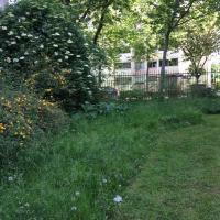 Parc_Caillebotte_Colombes©Arp-Astrance_2017 (31).JPG