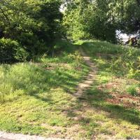 Parc_Caillebotte_Colombes©Arp-Astrance_2017 (8).JPG