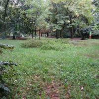 Parc_Chambovet_Lyon©Brassica_2021 (1).JPG