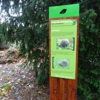 Parc_Chambovet_Lyon©Brassica_2021 (14).JPG