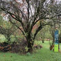 Parc_Champs_Elysees_Grenoble©Alticime_2023 (1).jpg