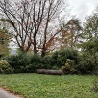 Parc_Champs_Elysees_Grenoble©Alticime_2023 (5).jpg