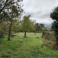 Parc_Champs_Elysees_Grenoble©Alticime_2023 (6).jpg