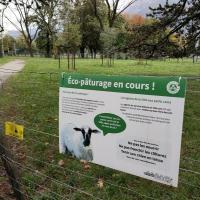 Parc_Champs_Elysees_Grenoble©Alticime_2023 (8).jpg