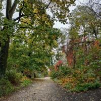 Parc_Champs_Elysees_Grenoble©Alticime_2023 (9).jpg