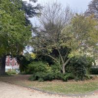 Parc_Choisy_Paris©Arp-Astrance_2022 (14).JPG