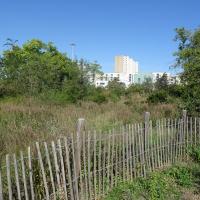 Parc_Clos_Layat_Lyon©Brassica_2023 (3).JPG