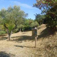 Parc_Conilheres_Ales@Agrostis_2017 (1).jpg