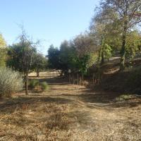 Parc_Conilheres_Ales@Agrostis_2017 (10).jpg