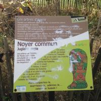 Parc_Crapaudine-Nantes©Arp-Astrance_2016 (15).JPG
