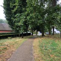 Parc_Gaillon_ICF-Habitat©Arp-Astrance_2021 (5).jpg