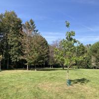 Parc_Gaudiniere_Nantes©Arp-Astrance_2023 (2).JPG