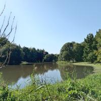 Parc_Gayeulles_Rennes©Arp-Astrance_2023 (7).jpg