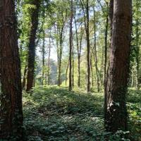 Parc_Gayeulles_Rennes©Arp-Astrance_2023 (8).jpg
