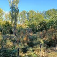 Parc_GrandePlaine_Toulouse©HederaVilleDUrable_2023 (25).jpg