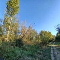 Parc_GrandePlaine_Toulouse©HederaVilleDUrable_2023 (26).jpg