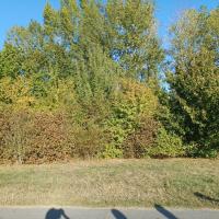 Parc_GrandePlaine_Toulouse©HederaVilleDUrable_2023 (27).jpg