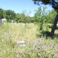 Parc_Moline_Marseille©Brassica_2021 (2).JPG